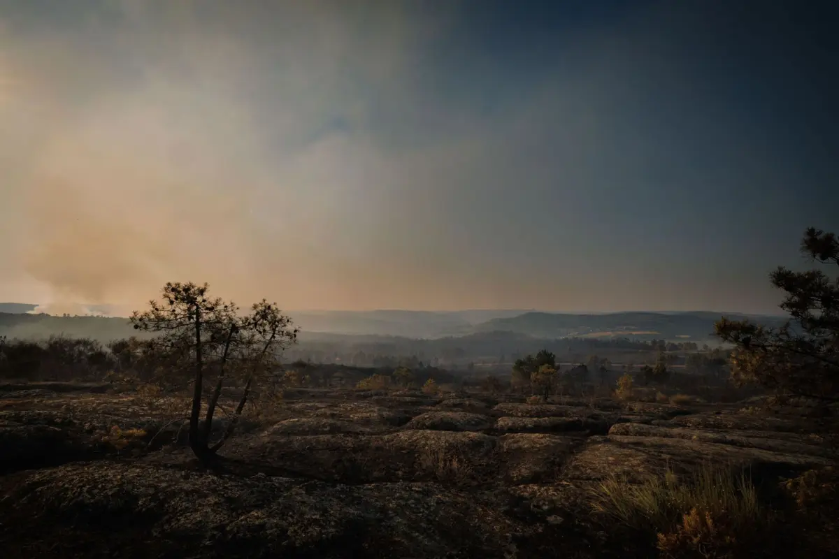 Não há registo de vítimas nestes incêndios