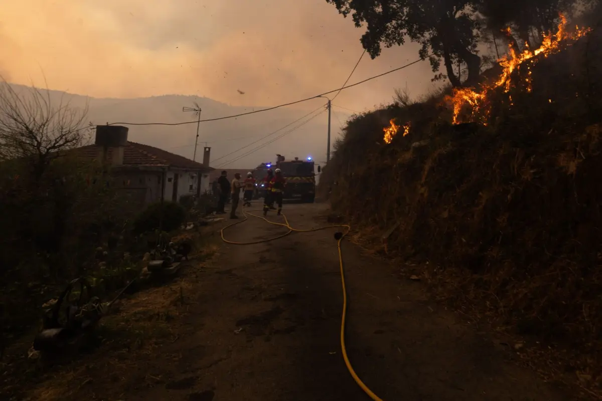 Bombeiros combatem incêndio florestal em Arouca