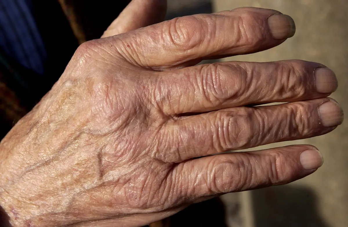 Imagem de contexto do artigo Lar ilegal em Vendas Novas fechado e utentes retirados por suspeitas de maus-tratos