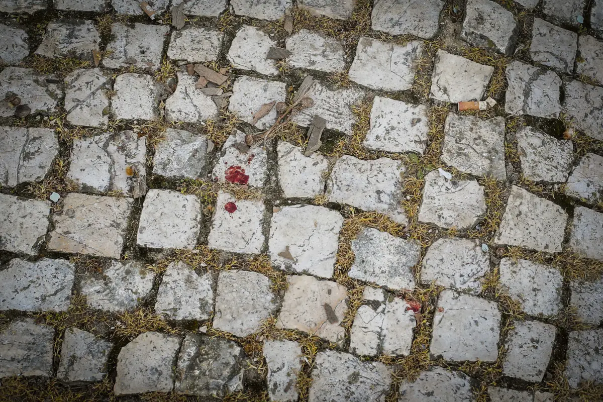 Imagem de contexto do artigo Pai e filho condenados por matarem homem e esconderem corpo na Figueira da Foz