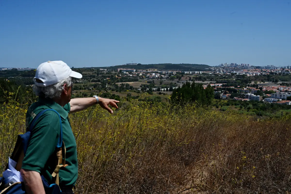 Novo condomínio de luxo previsto para o Alto do Lagoal fica perto de zona que já foi classificada como reserva ecológica nacional