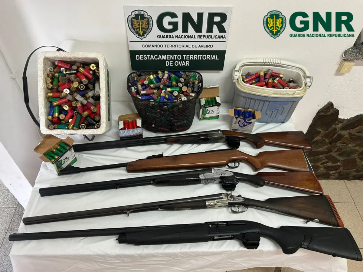 Armamento apreendido pela GNR na residência do arguido
