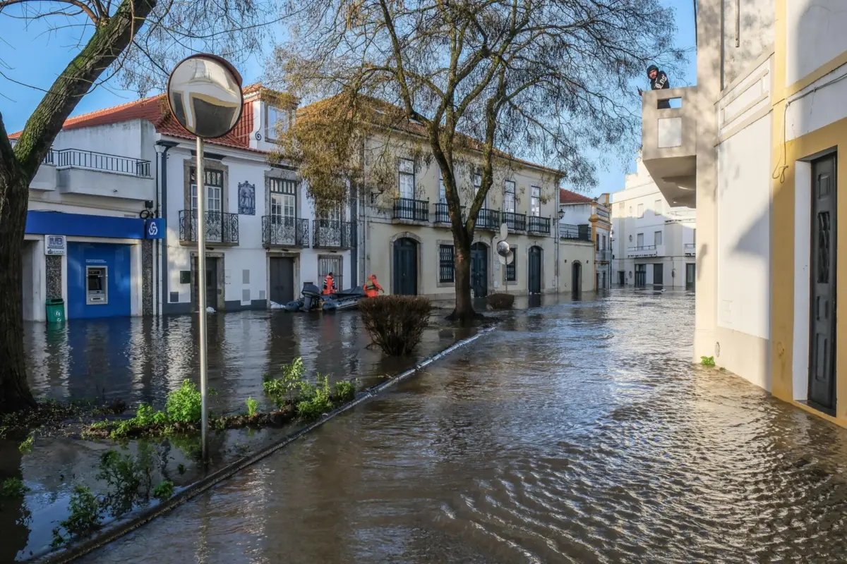Imagem de contexto do artigo Setúbal tem 200 árvores em risco de cair na Arrábida