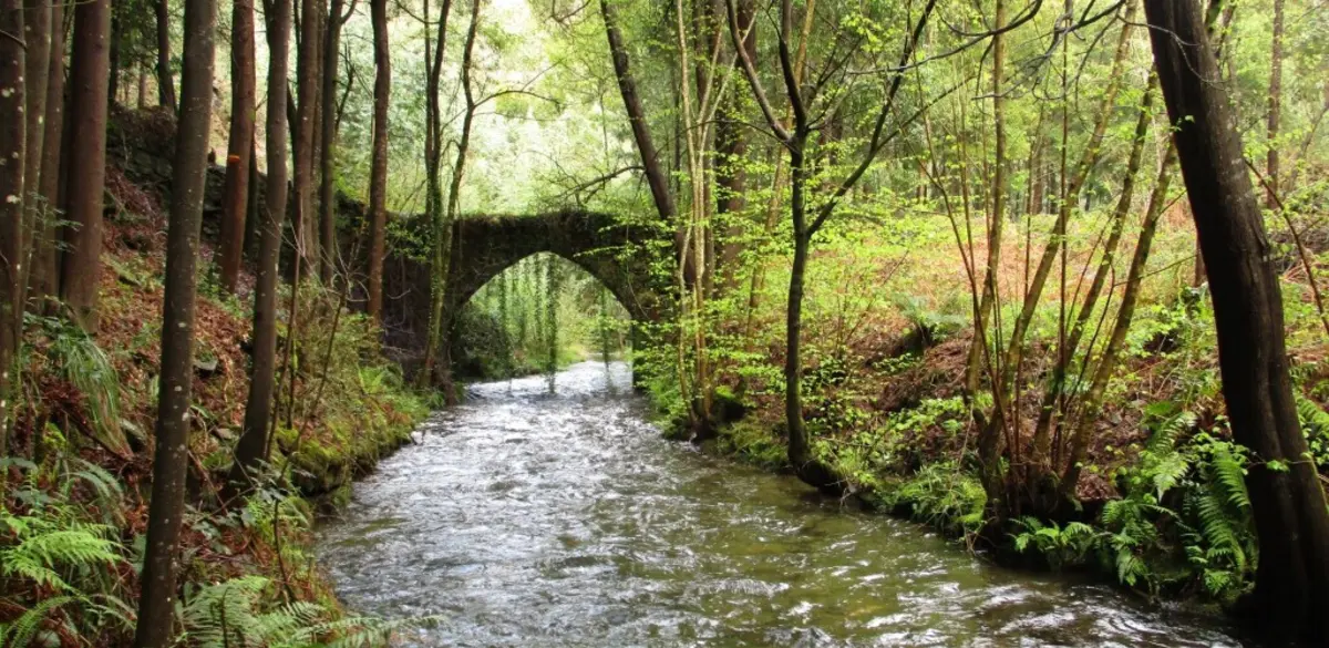 Novo troço tem açudes, pontes moinhos