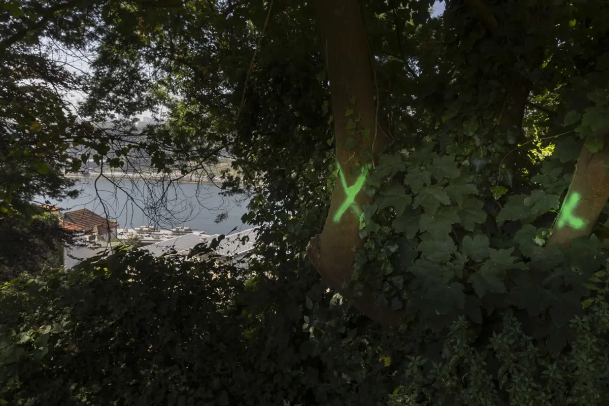 Os passaportes só podem ser emitidos pelos operadores autorizados