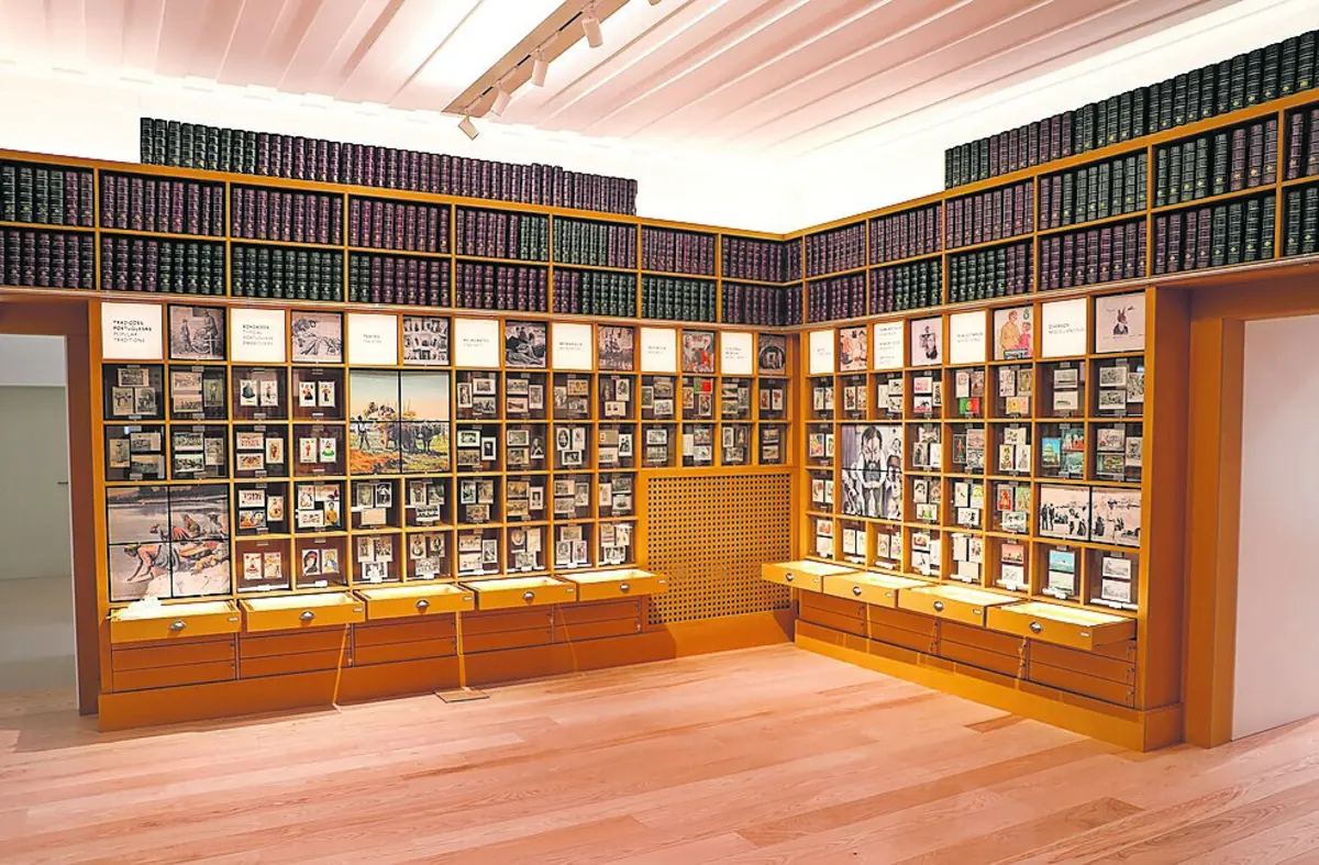 O vasto espólio do Museu de Arte e do Colecionismo de Cantanhede