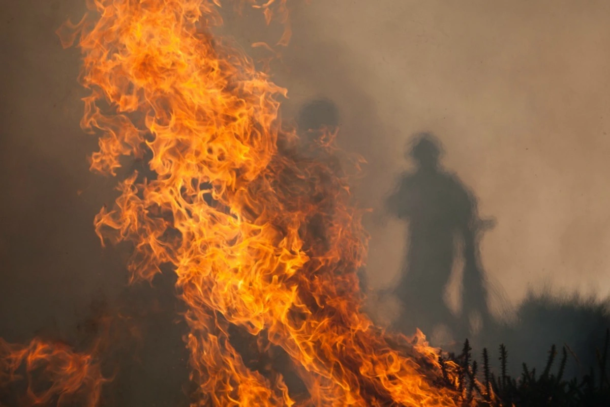 Os factos ocorreram na madrugada de 4 de outubro de 2025, na freguesia de Pelmá, concelho de Alvaiázere