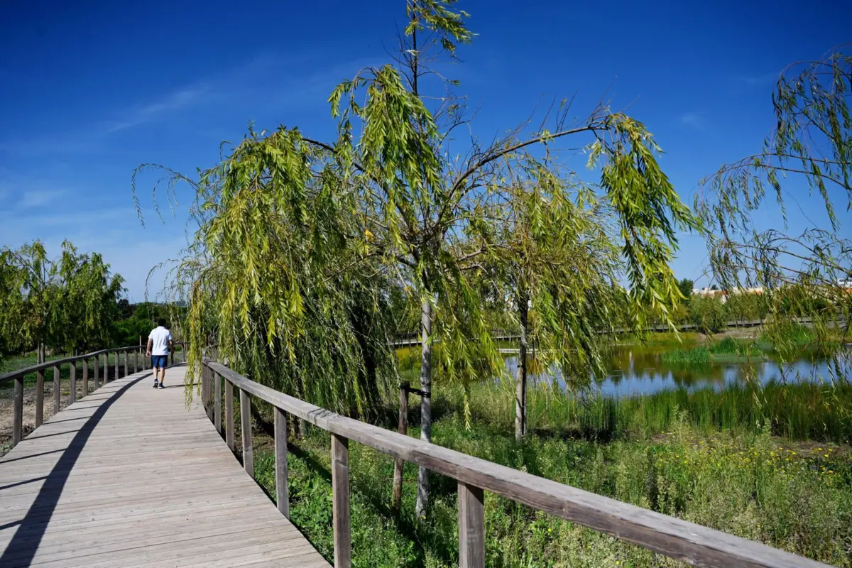 Parque Verde de Carnide