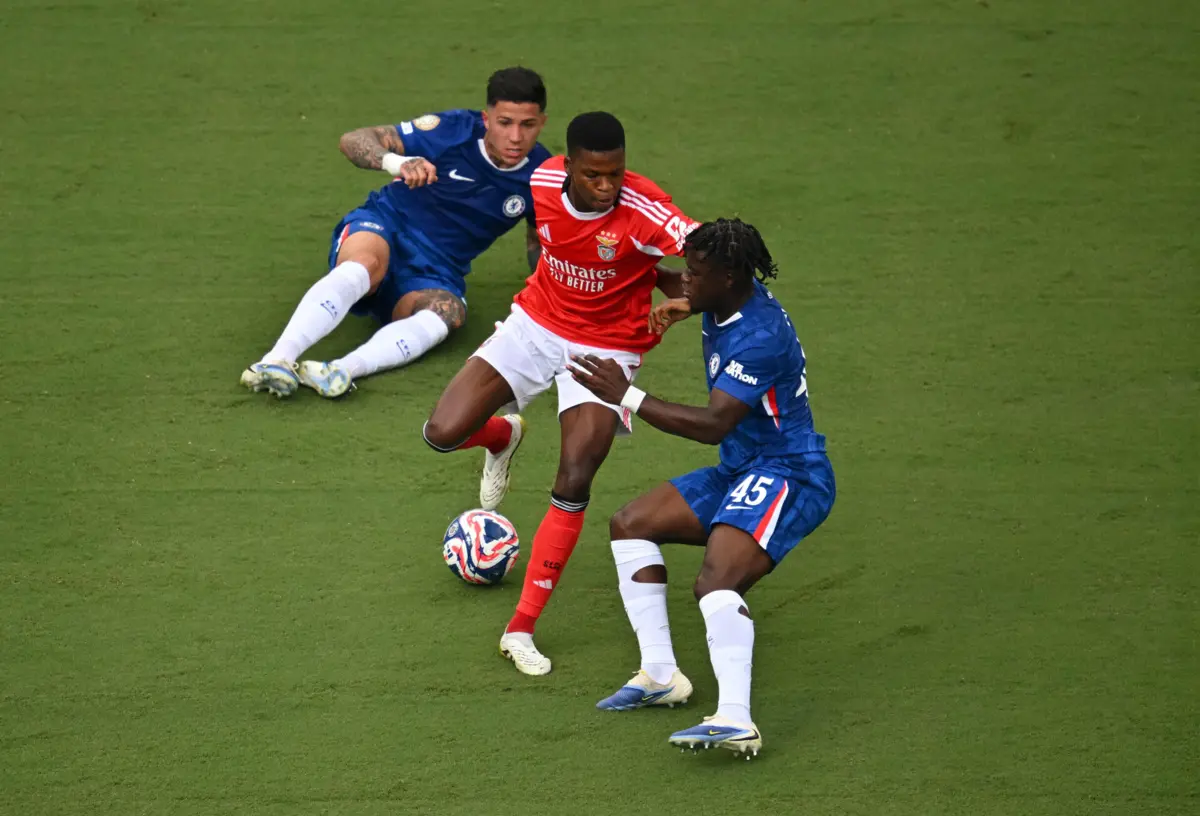 Benfica pode reformular meio-campo