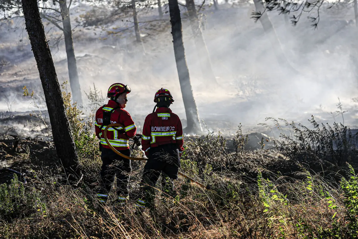Homem é suspeito da autoria de outros incêndios em zona