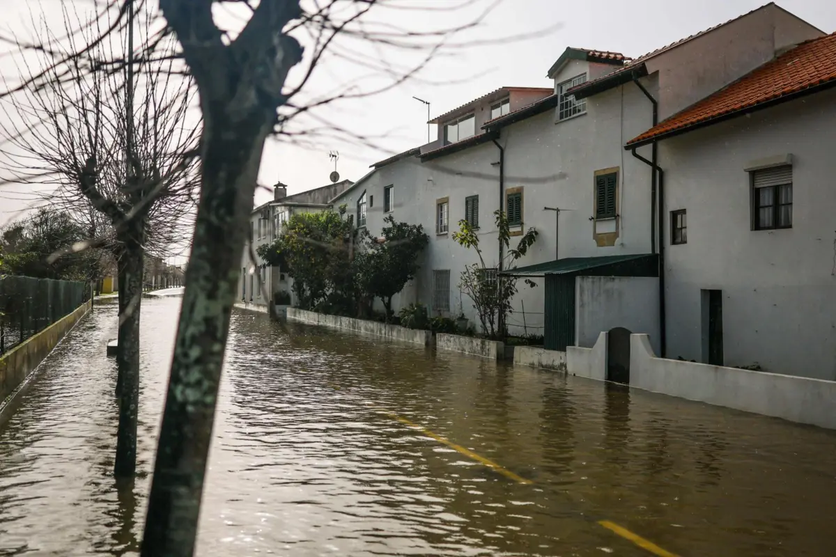 Zona inundada em Montemor-o-Velho