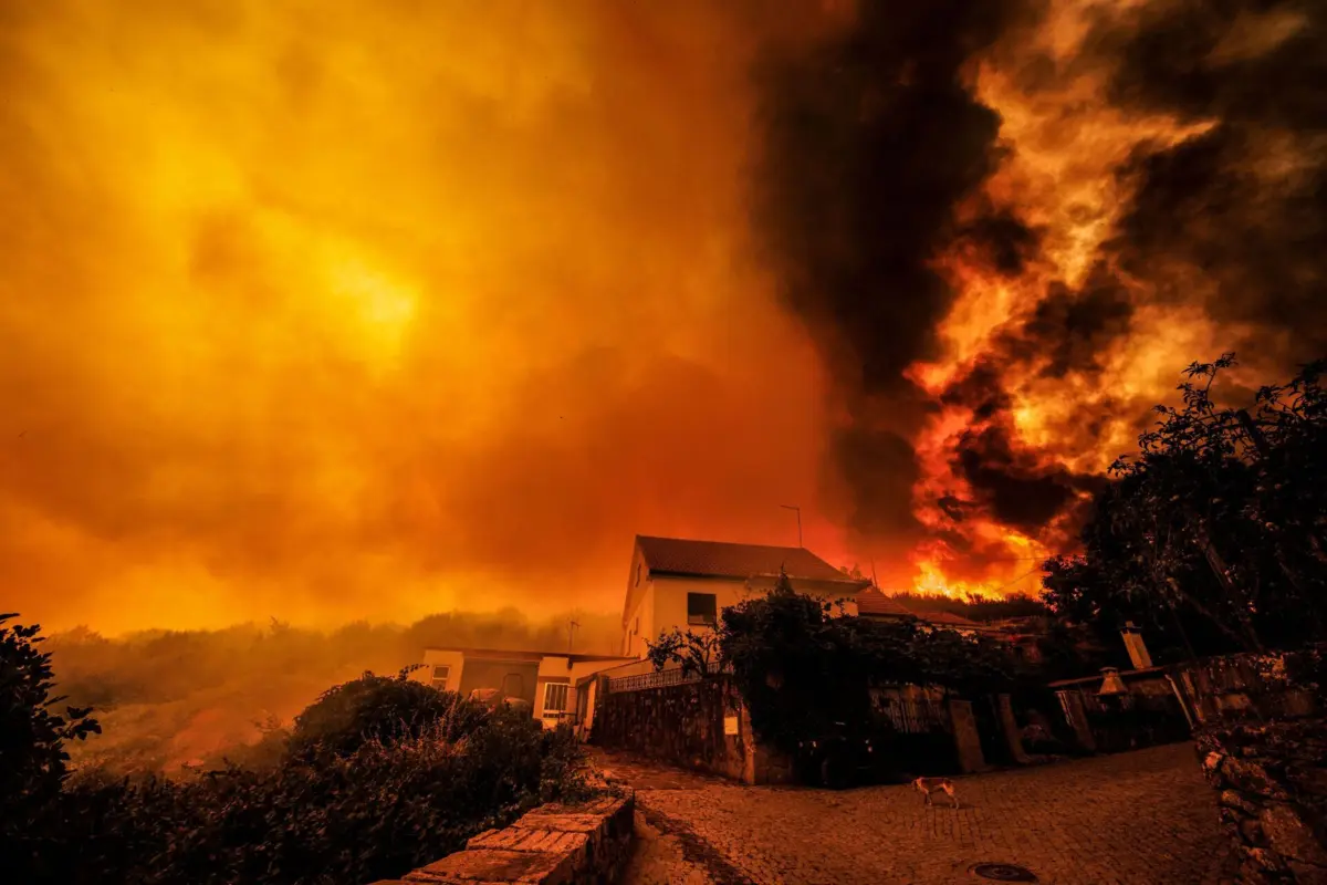 Imagem de contexto do artigo Ex-autarca de Vila Franca de Deão morre a combater fogo