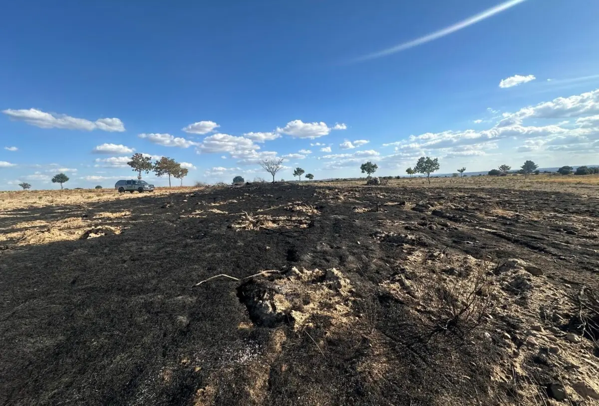 Incêndio descontrolou-se mas foi extinto pelo homem