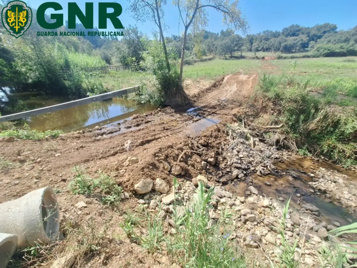 Imagem de contexto do artigo SEPNA deteta passagens ilegais entre margens de duas ribeiras de Pombal
