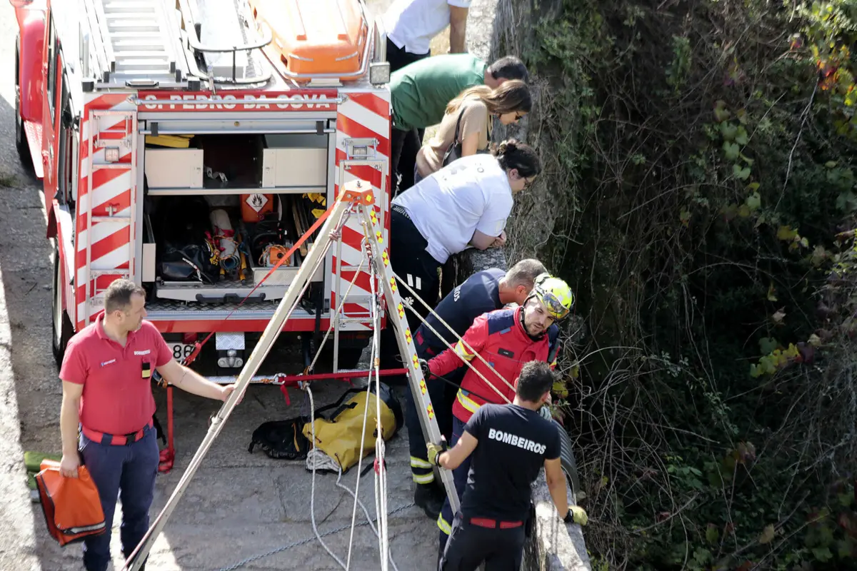 Rogério Neto foi encontrado pouco depois, já morto, no leito do Rio Ferreira