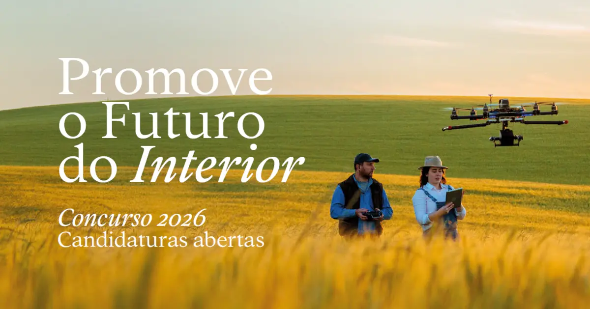 Imagem de contexto do artigo Programa Promove abre candidaturas até 12 de fevereiro de 2026