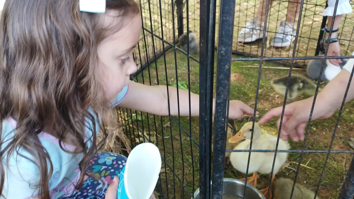 Crianças têm oportunidade de conhecer e de acariciar os animais da quinta no Dia do Patrono.