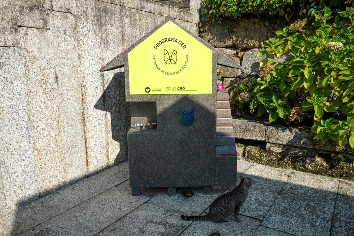 Abrigo para gatos no Largo dos Laranjais