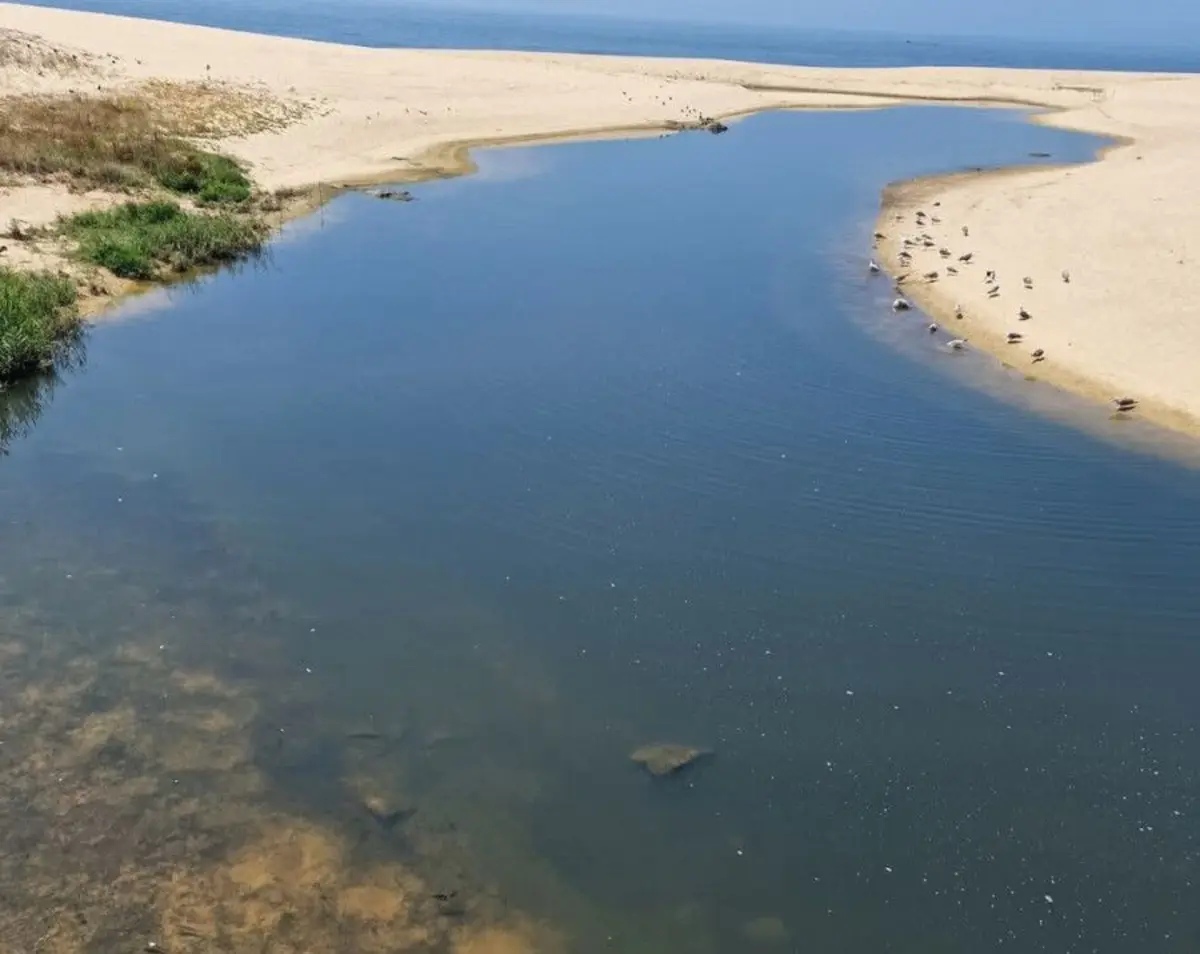 Em julho, as praias de Angeiras Norte, em Matosinhos, e Labruge, em Vila do Conde, estiveram interditadas a banhos por causa de uma descarga no rio Onda
