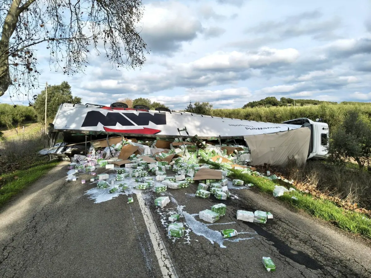 Camião transportava embalagens de leite