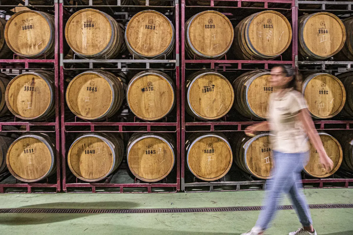 Imagem de contexto do artigo Port Wine Day: empresas e enólogos do Douro distinguidos