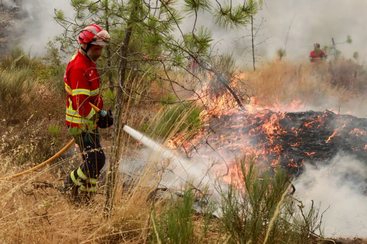 Mais de 180 operacionais apoiados por um meio aéreo combatem as chamas