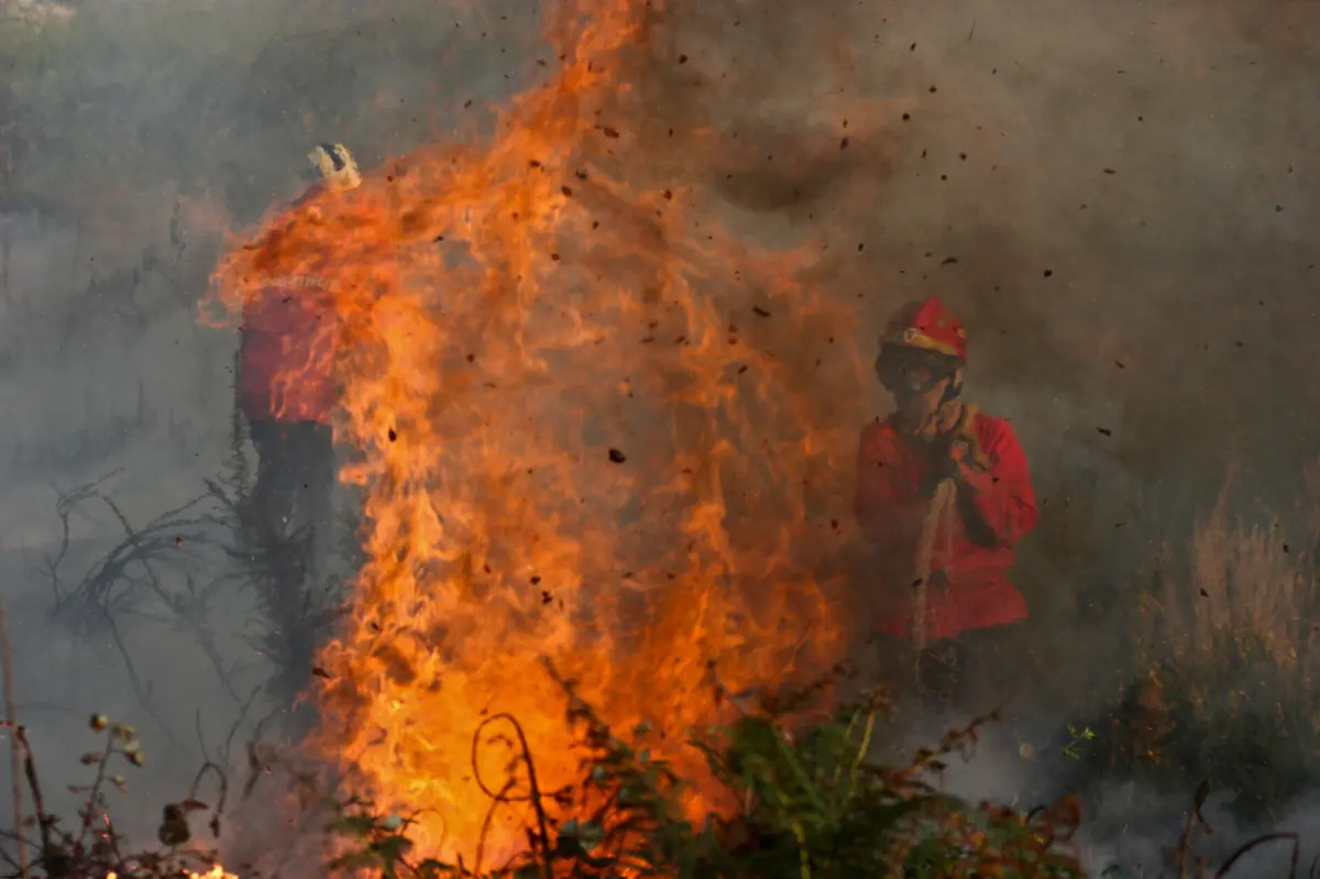 PJ deteve homem suspeito de ter ateado um incêndio, em São Pedro d aCova.