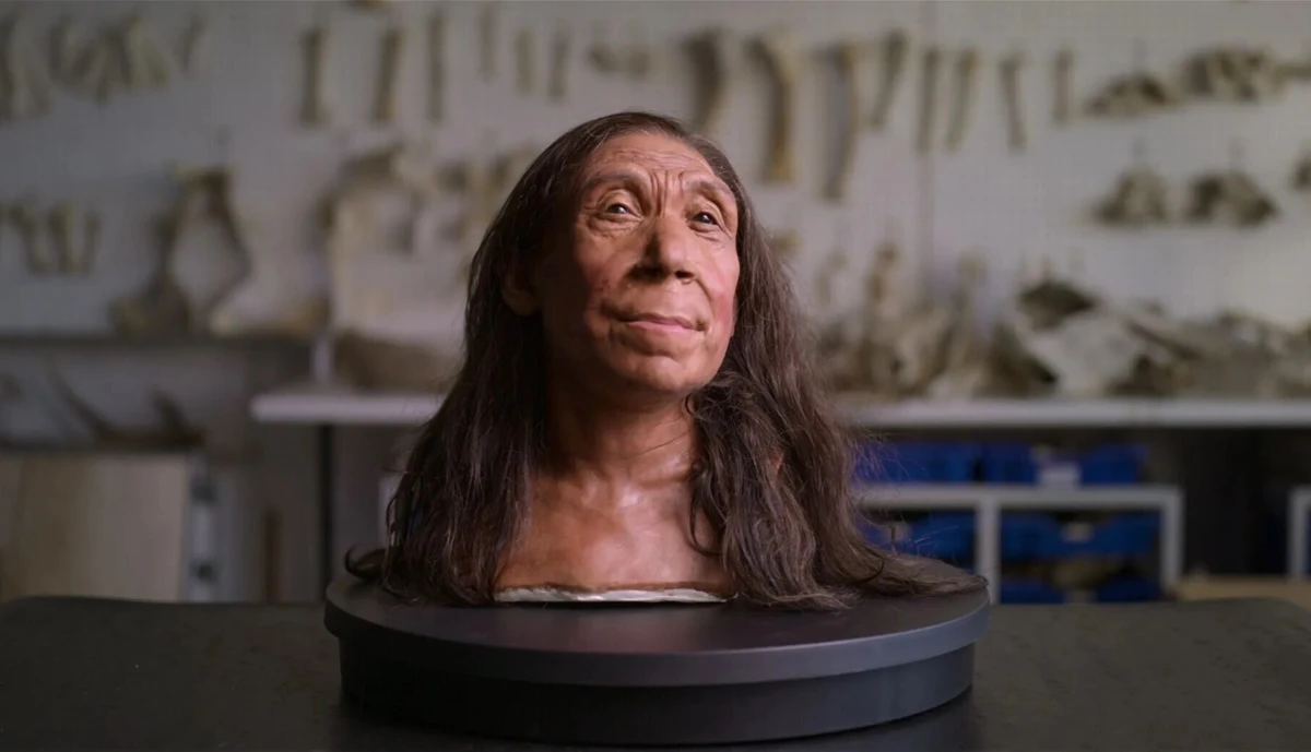 A mulher neandertal terá morrido por volta dos 40 anos