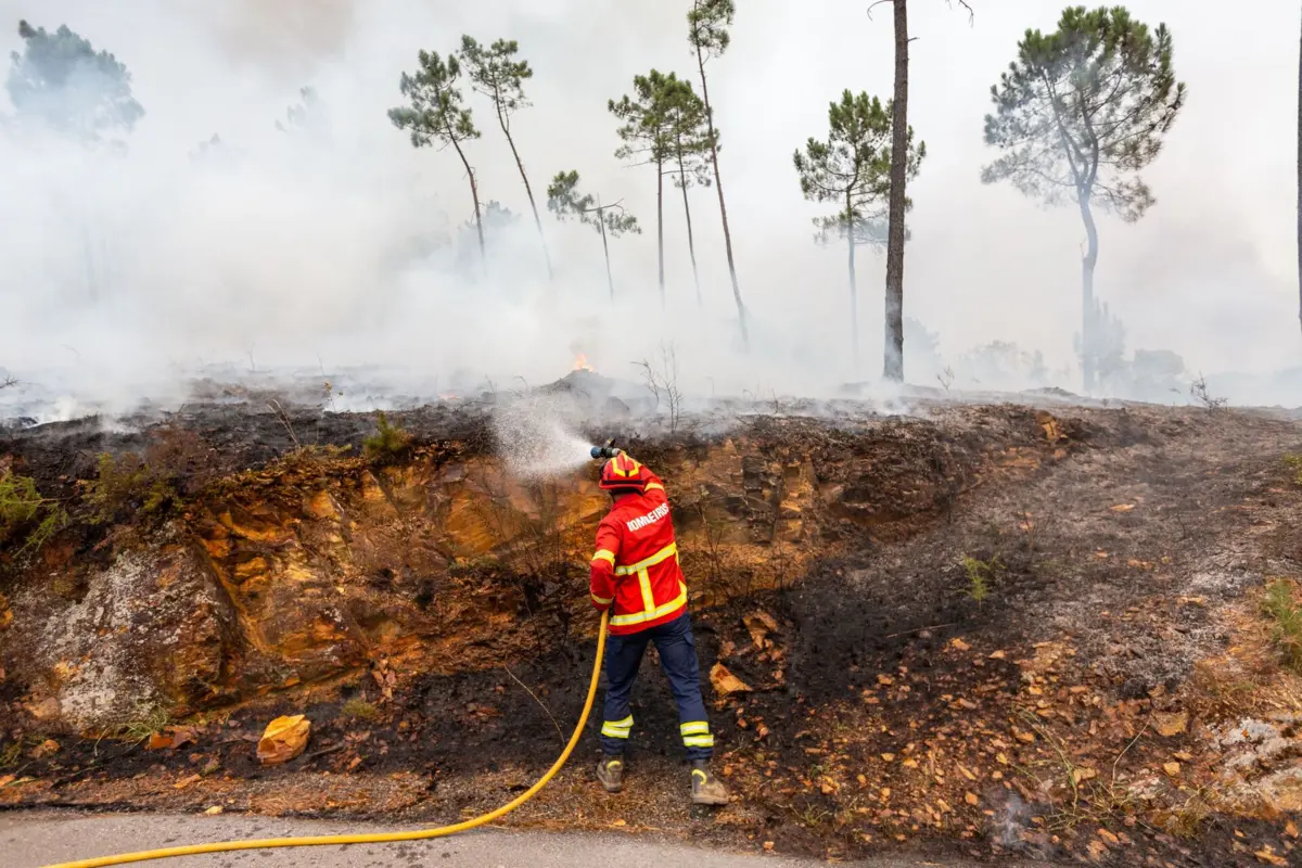 Até 17 de agosto, arderam 172 mil hectares no país, mais do que a área ardida em todo o ano de 2024