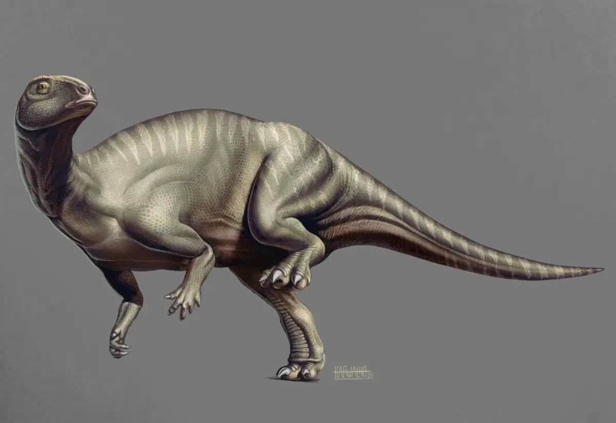 Imagem de contexto do artigo Identificada nova espécie de dinossauro na Lourinhã