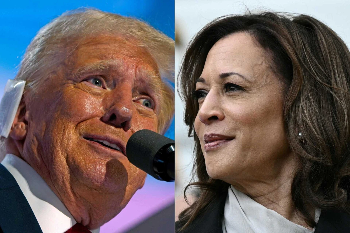 Imagem de contexto do artigo Imigração, clima e aborto: o muito que separa Kamala Harris de Donald Trump