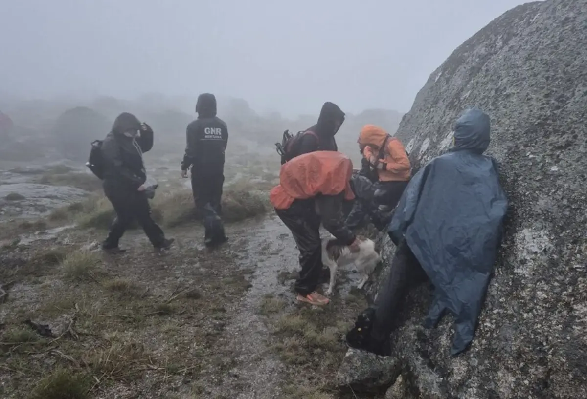 A GNR de Montanha no teatro de operações da Serra da Estrela