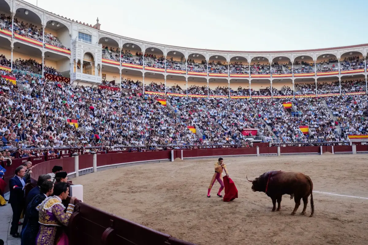 Cerca de 77% da população espanhola rejeita as touradas, segundo dados revelados por um estudo da "BBVA Foundation"