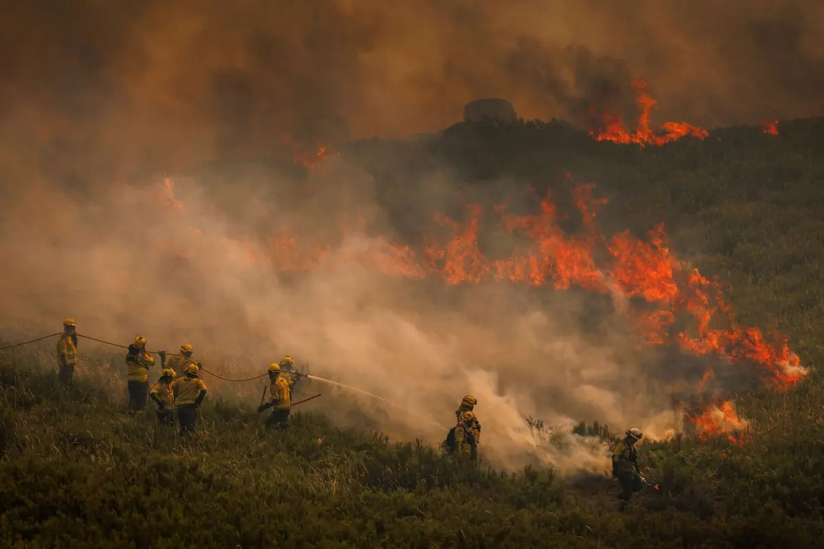 Imagem de contexto do artigo Mais de 50 concelhos de nove distritos em perigo máximo de incêndio