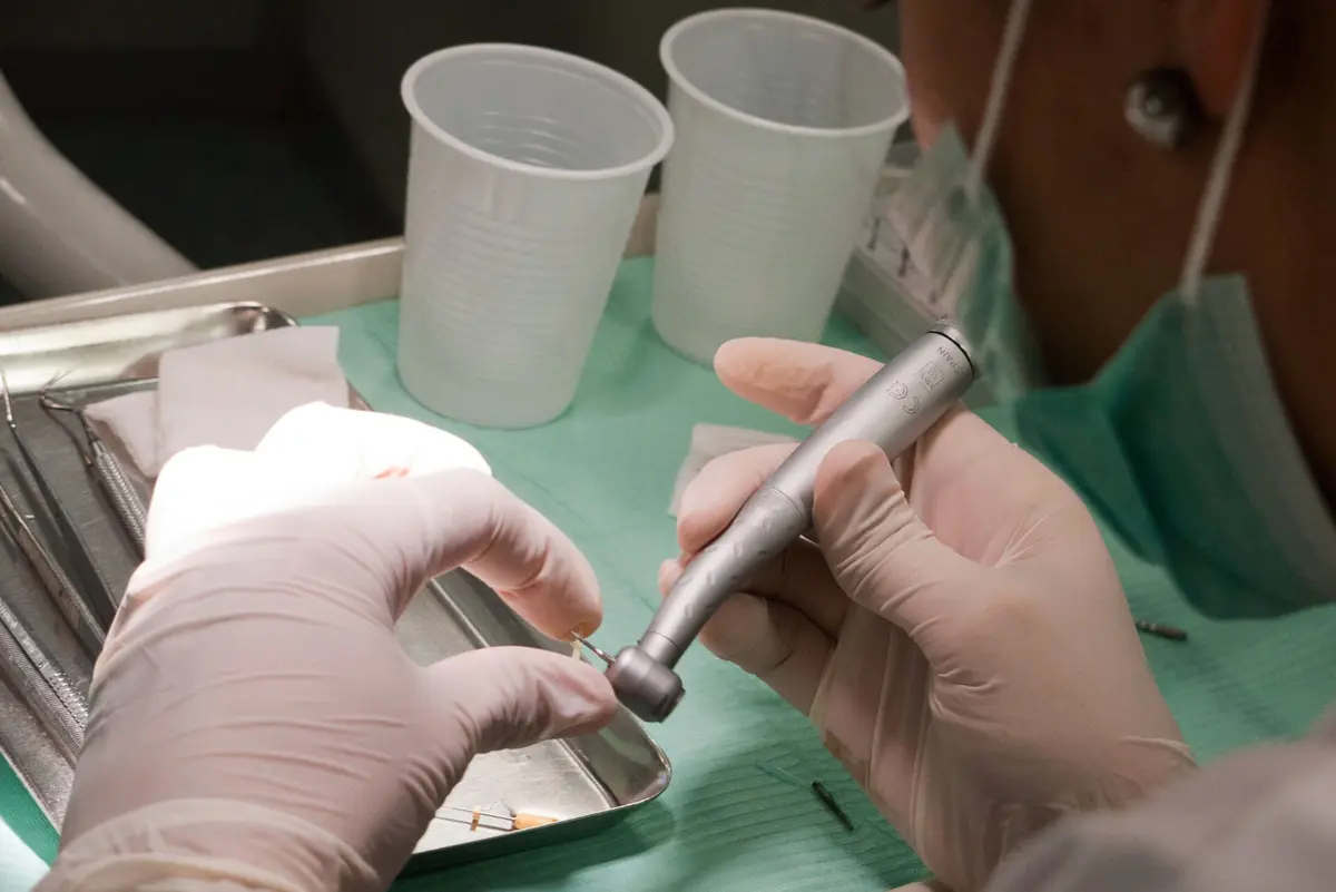 Tratamento dentário de Maria de Fátima vai ser possível graças ao contributo dos leitores JN