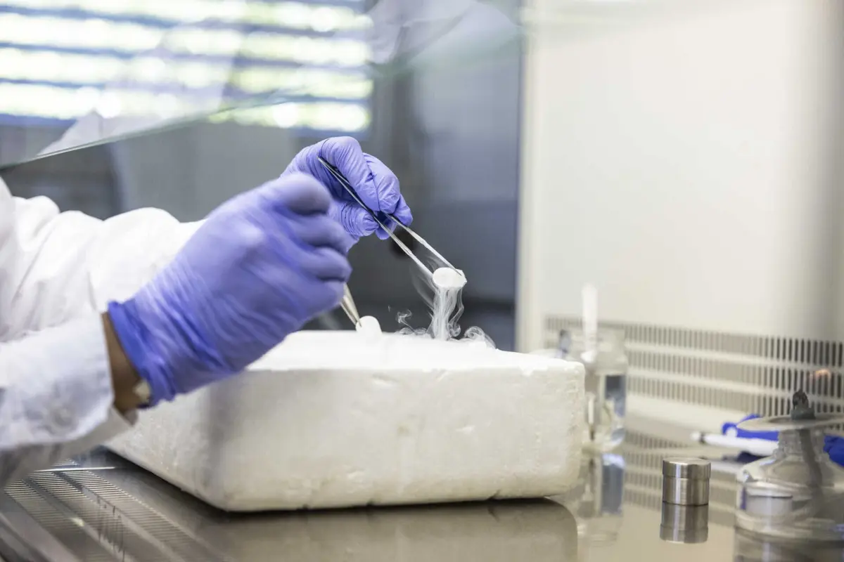 "Comprimidos de fezes" têm sido em hospitais do Reino Unido