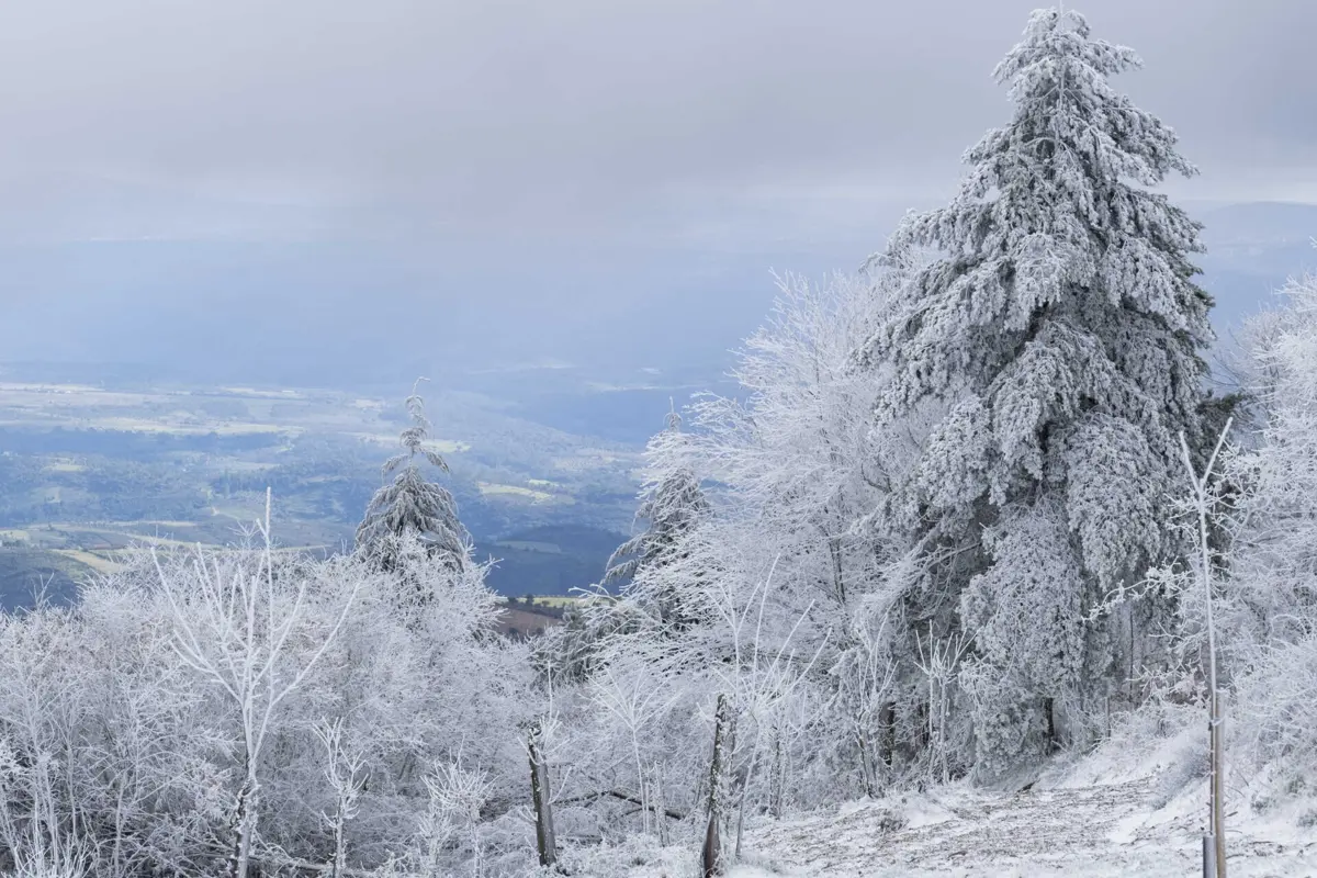 O IPMA estima que a acumulação de neve possa ser de até 25 centímetro acima dos 1600 metros de altitude