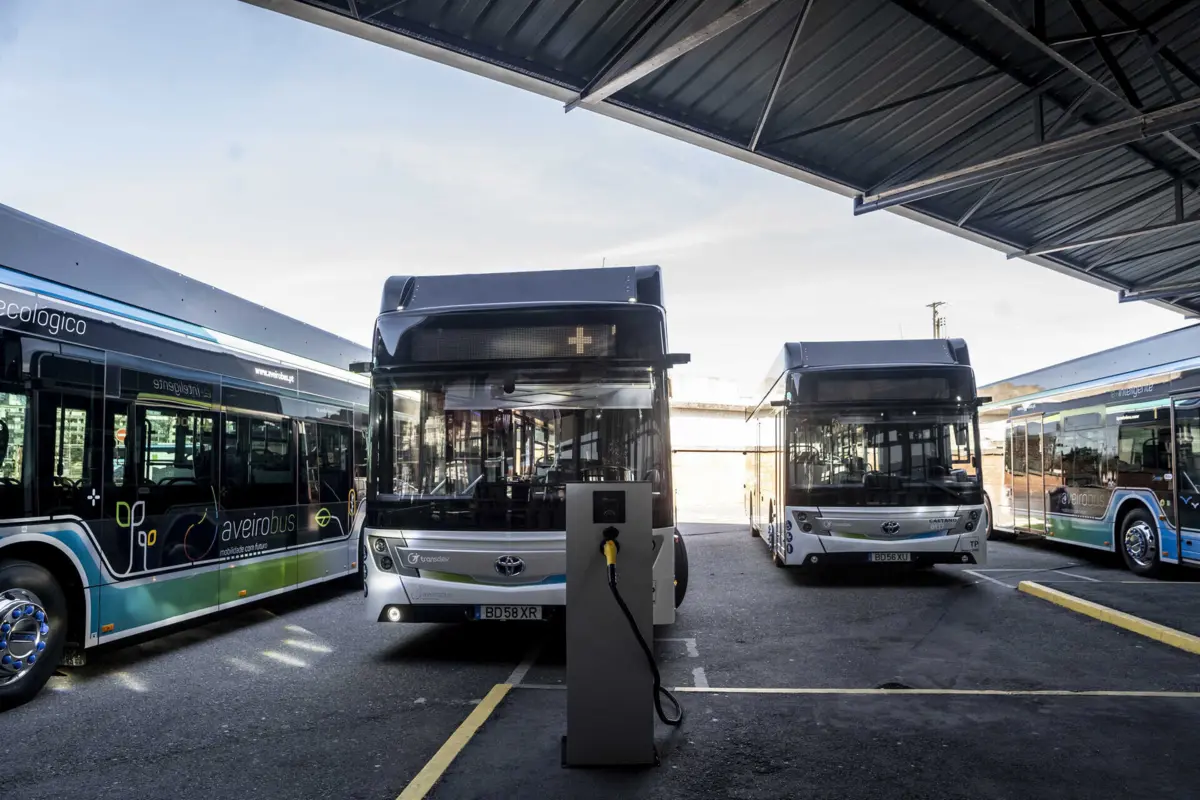 Autocarros elétricos predominam nos grandes centros