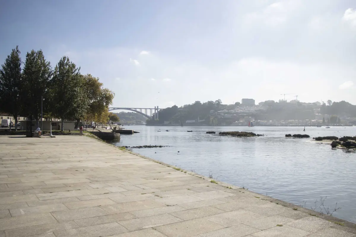 Moradores da zona do Fluvial denunciam furto de patos
