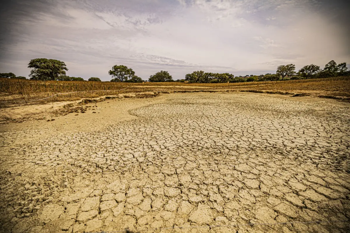 Imagem de contexto do artigo Algarve e litoral alentejano ainda estão a sentir efeitos da seca