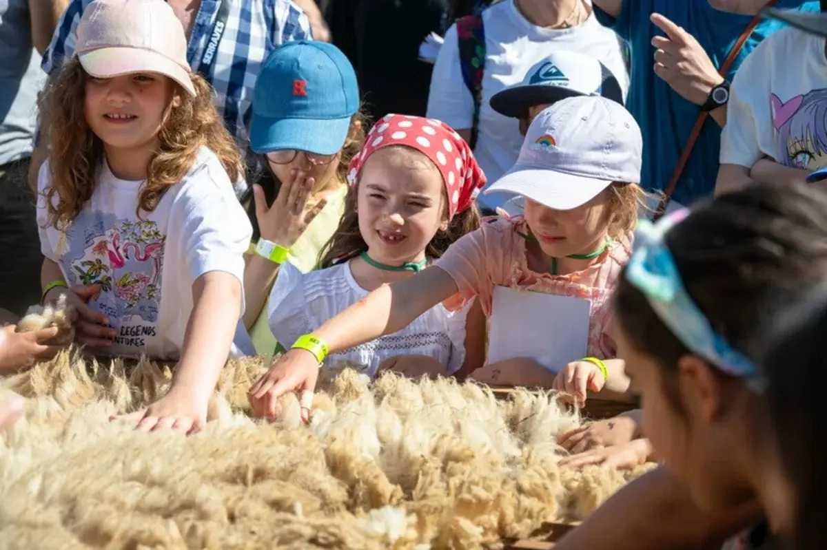 Atividade gratuita a 4 de maio