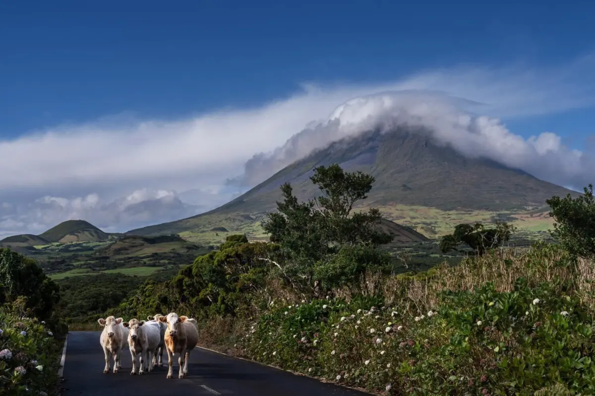 Imagem integra reportagem dedicada à ilha do Pico, nos Açores
