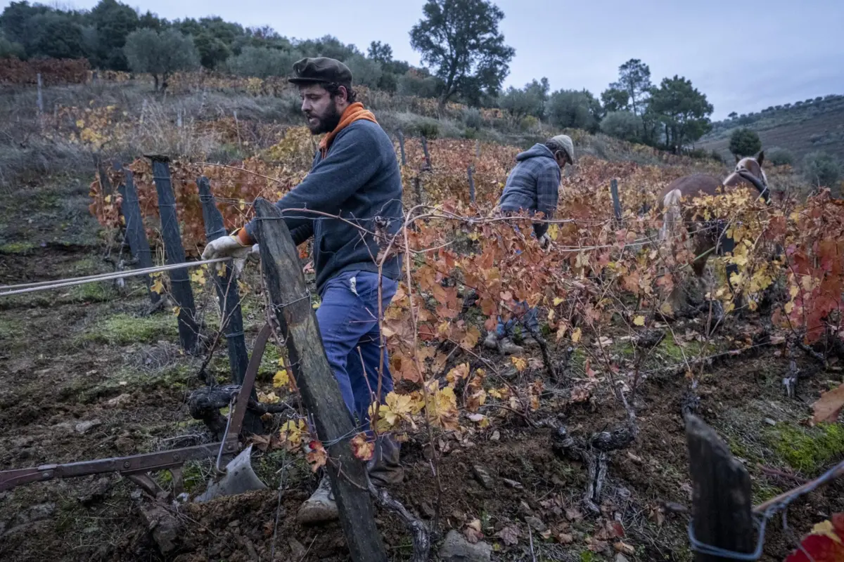 Casa da Réssa, no Douro Vinhateiro.