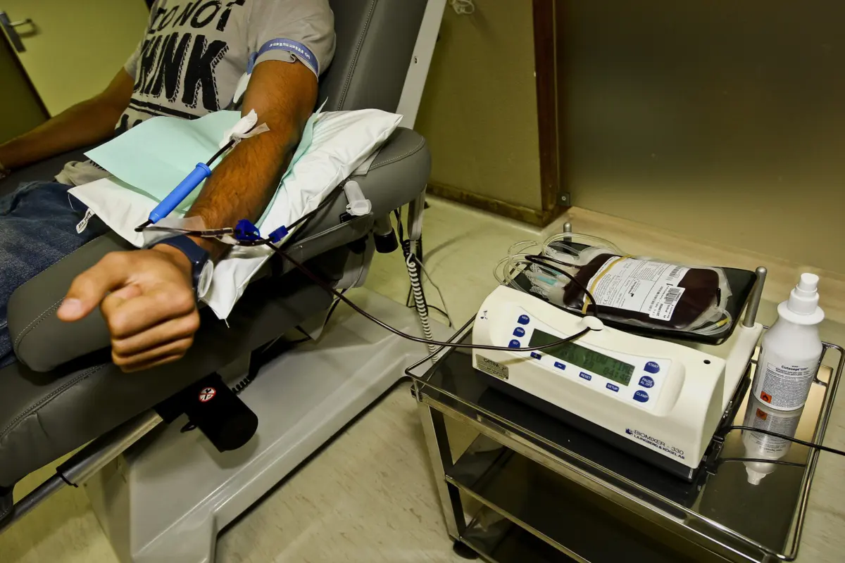 Imagem de contexto do artigo Federação pede mobilização urgente de dadores para evitar falta de sangue nos hospitais