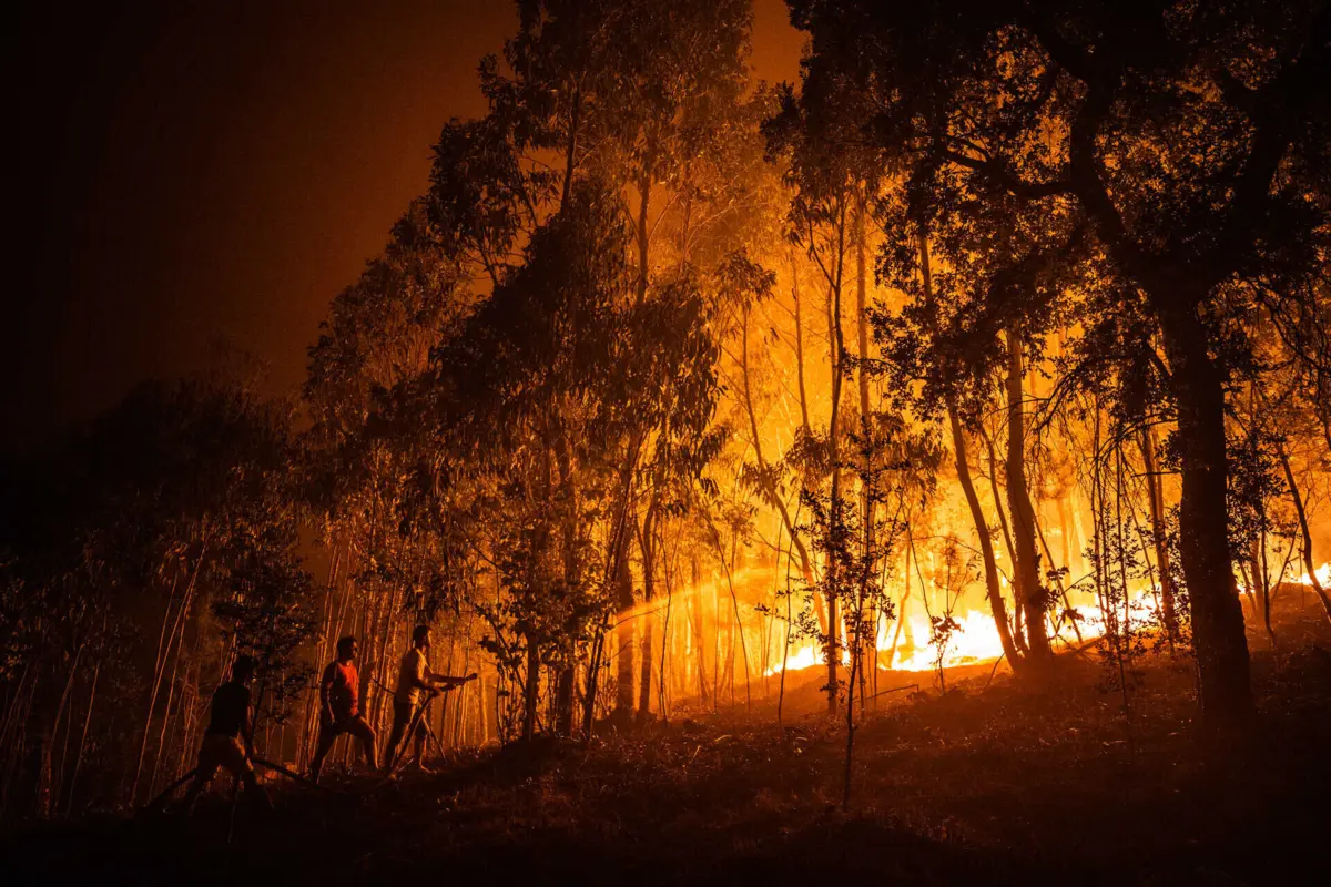 O arguido confessou ter ateado dois focos de incêndio numa zona florestal em Vagos, mas não soube justificar o motivo