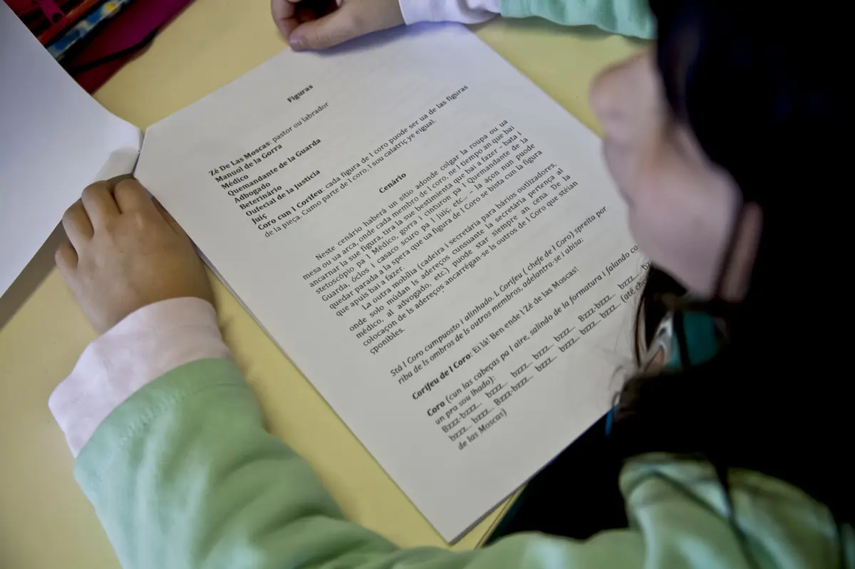 A falta de manuais foi uma das falhas apontadas para assegurar o ensino do Mirandês