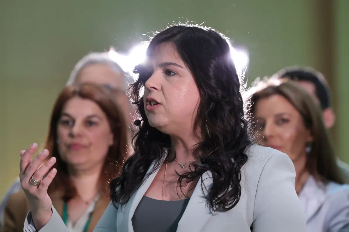 Imagem de contexto do artigo PAN considera que Governo e grandes partidos falharam ao país