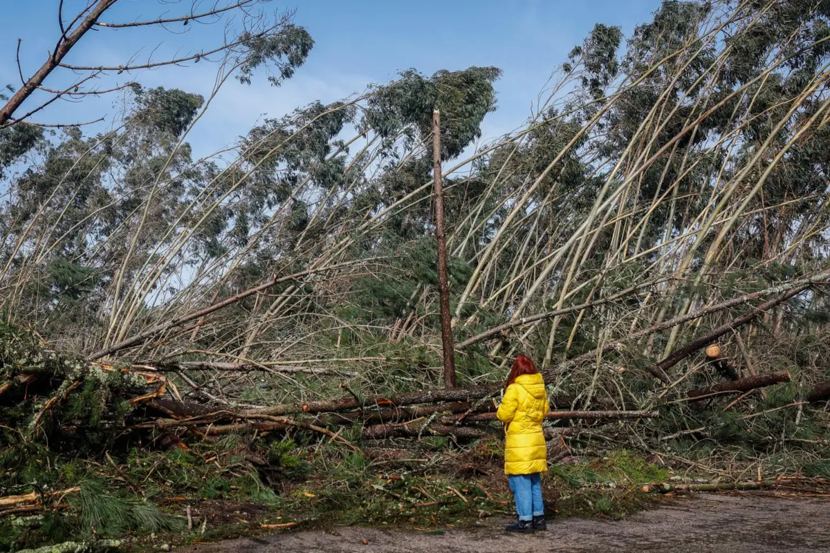 epa12693178 Effects of bad weather in the Leiria region due to the passage of the Kristin depression, in Leiria, Portugal, 30 January 2026. Portugal is being affected by the effects of the passage of the Kristin depression, with rain, wind, snow and rough seas, and several warnings have been issued by the Portuguese Institute of the Sea and the Atmosphere (IPMA). ANTONIO PEDRO SANTOS/LUSA EPA/ANTÓNIO PEDRO SANTOS