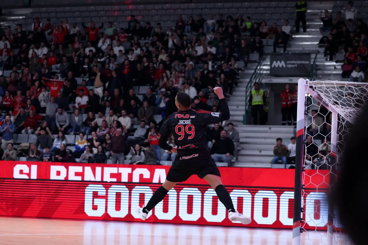 Jacaré bisou na partida