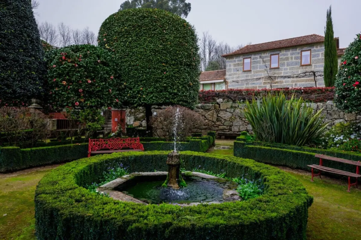 Imagem de contexto do artigo Árvore do Ano tem 300 anos e é de Guimarães